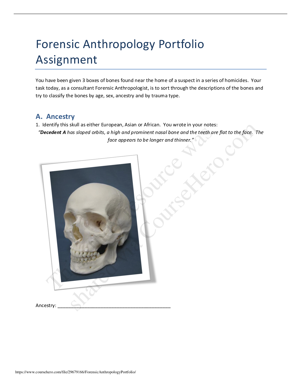 forensic anthropology case study research assignment