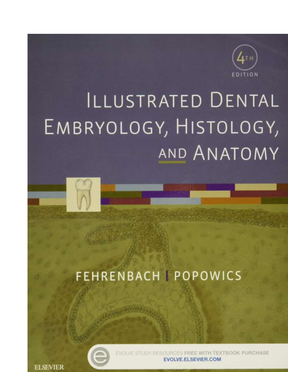 illustrated dental embryology histology and anatomy 4th edition free download