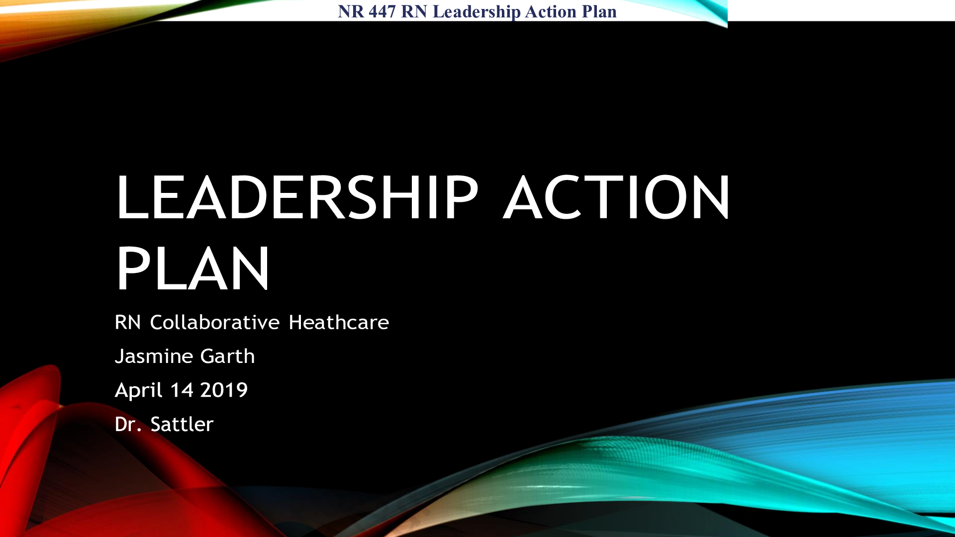 NR 447 RN Leadership Action Plan Chamberlain College of Nursing